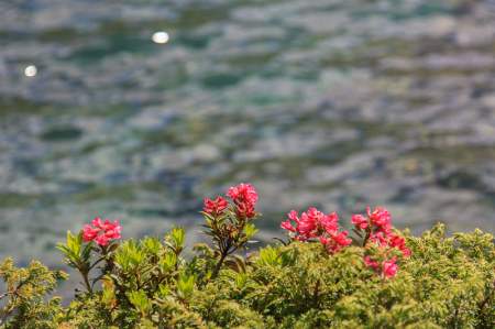 Concerto al Lago d'Arpy