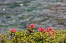Concerto al Lago d'Arpy