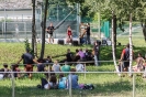 Celtica (07/07/2013) 