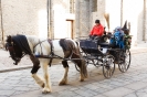 Befane in Carrozza
